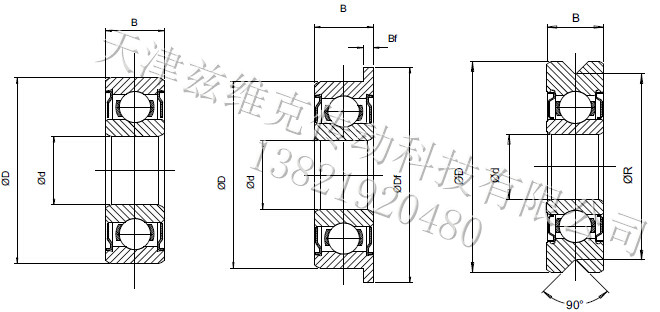 ZWICKER深溝球軸承R625/16圖紙