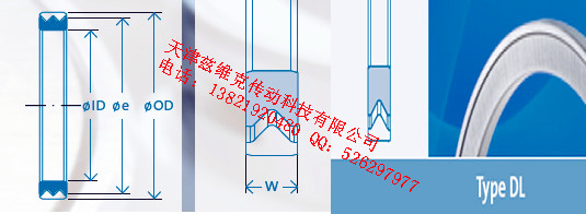 GMNDL60X72X4油封圖紙