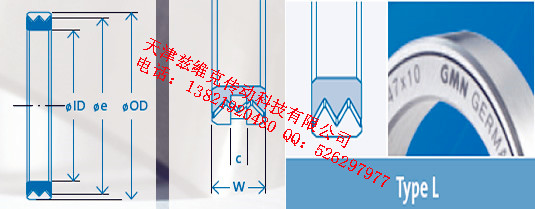 GMNL170X210X20油封圖紙