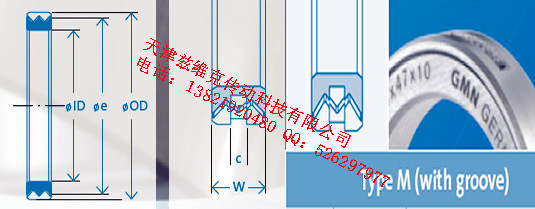 GMNM180X210X20油封圖紙