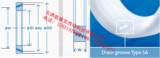 GMNSA10X30X10油封圖紙